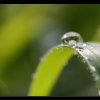 20120422_017